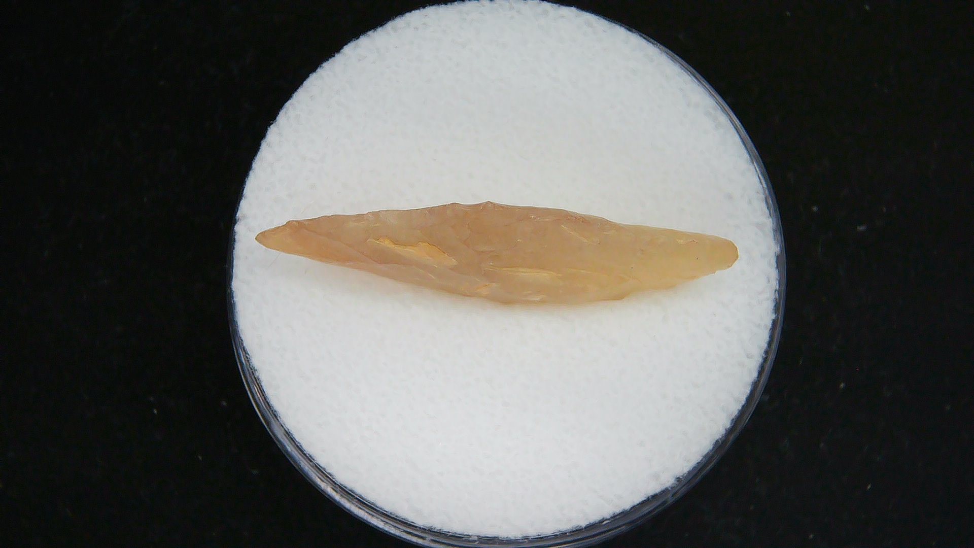 Morocco Sahara Desert Mesolithic Laurel Point 19b | Fossils for Sale Genuine Morocco Sahara Desert Mesolithic Laurel Point For Sale #19b