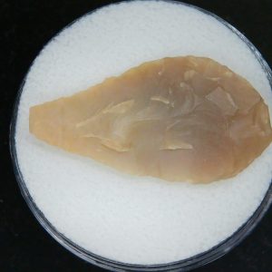 Mesolithic Laurel Leaf Point #20