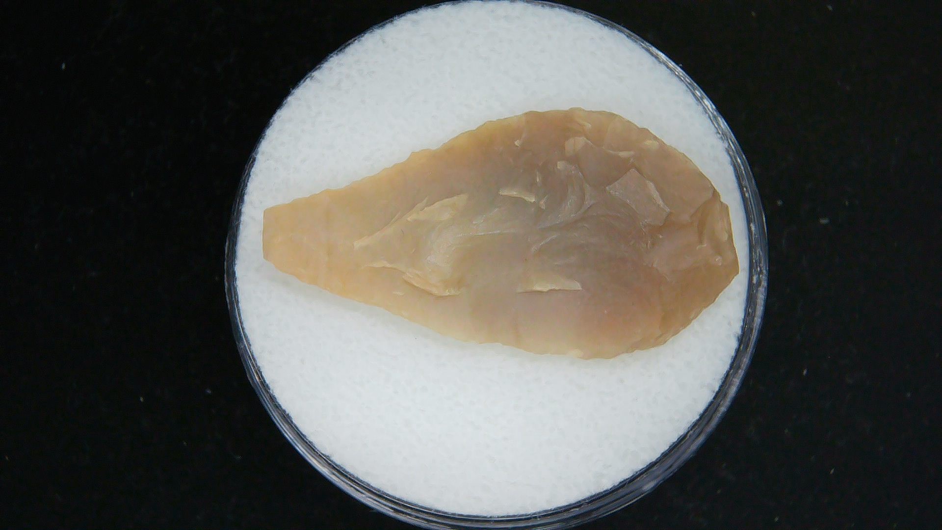 Morocco Sahara Desert Mesolithic Laurel Point 20 | Fossils for Sale Genuine Morocco Sahara Desert Mesolithic Laurel Point For Sale #20