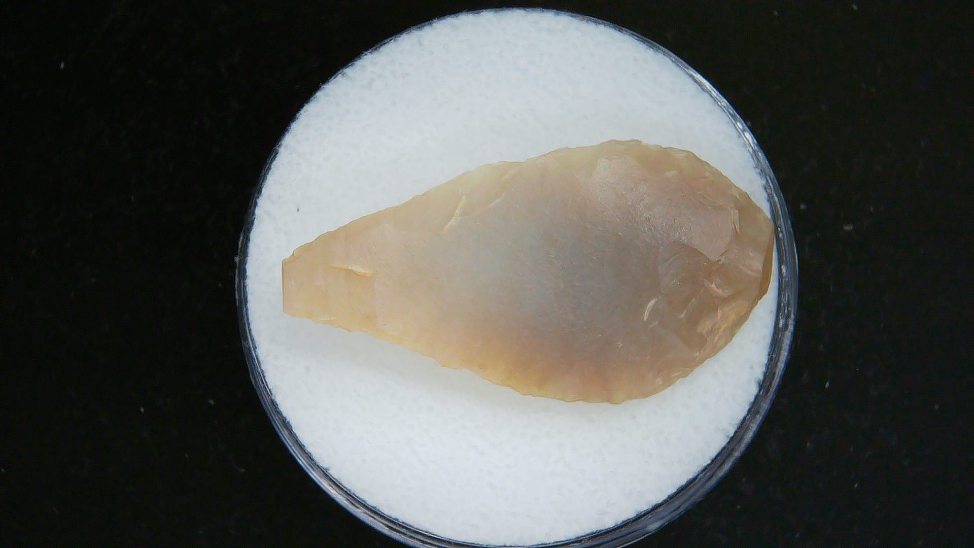 Morocco Sahara Desert Mesolithic Laurel Point 20a | Fossils for Sale Genuine Morocco Sahara Desert Mesolithic Laurel Point For Sale #20a