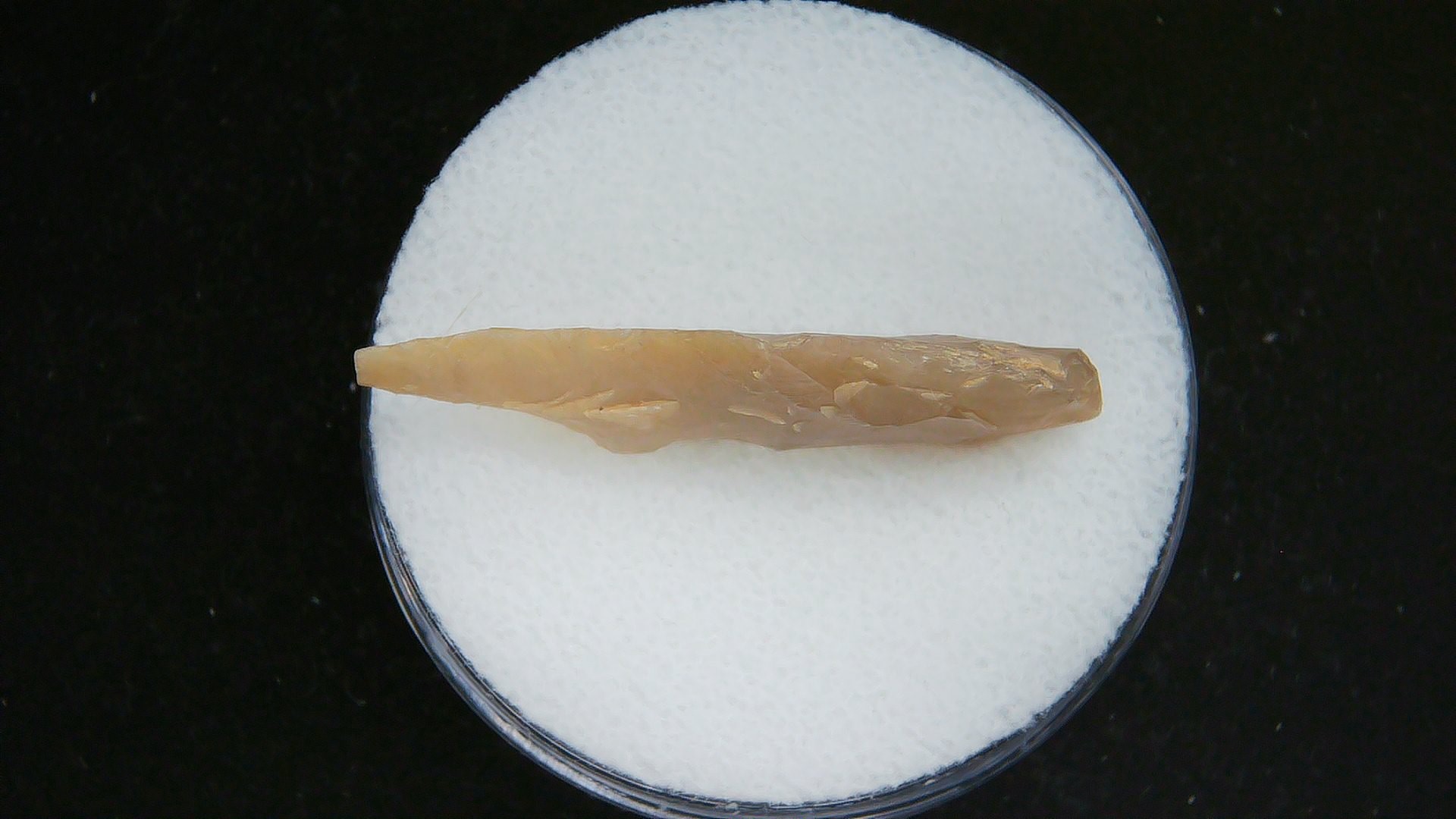 Morocco Sahara Desert Mesolithic Laurel Point 20b | Fossils for Sale Genuine Morocco Sahara Desert Mesolithic Laurel Point For Sale #20b