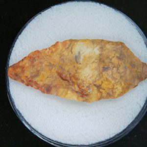 Mesolithic Laurel Leaf Point #21