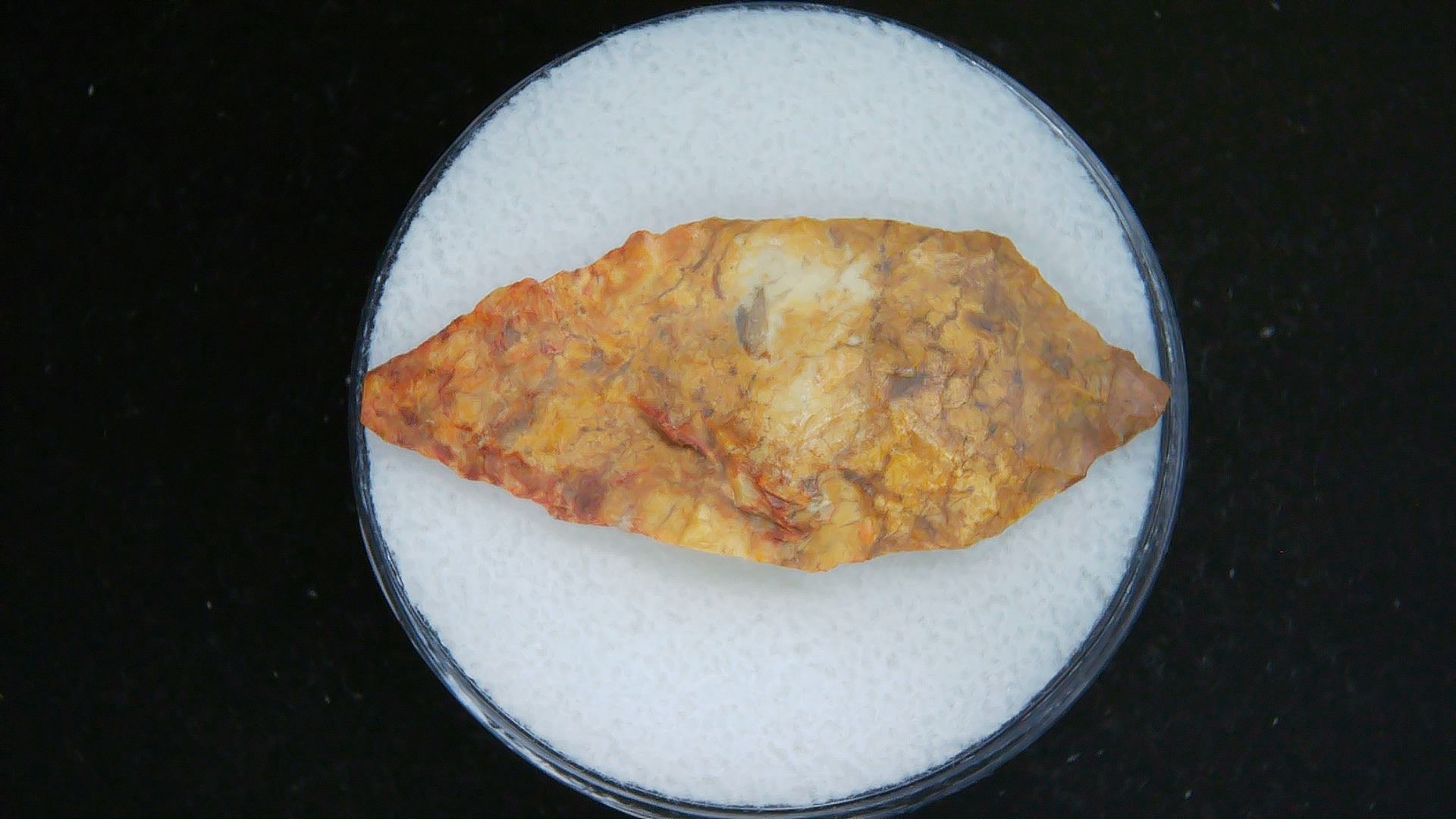 Morocco Sahara Desert Mesolithic Laurel Point 21 | Fossils for Sale Genuine Morocco Sahara Desert Mesolithic Laurel Point For Sale #21