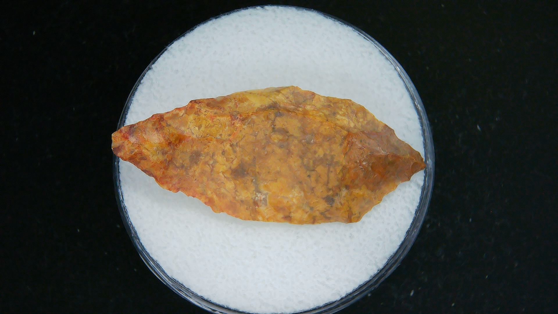 Morocco Sahara Desert Mesolithic Laurel Point 21a | Fossils for Sale Genuine Morocco Sahara Desert Mesolithic Laurel Point For Sale #21a