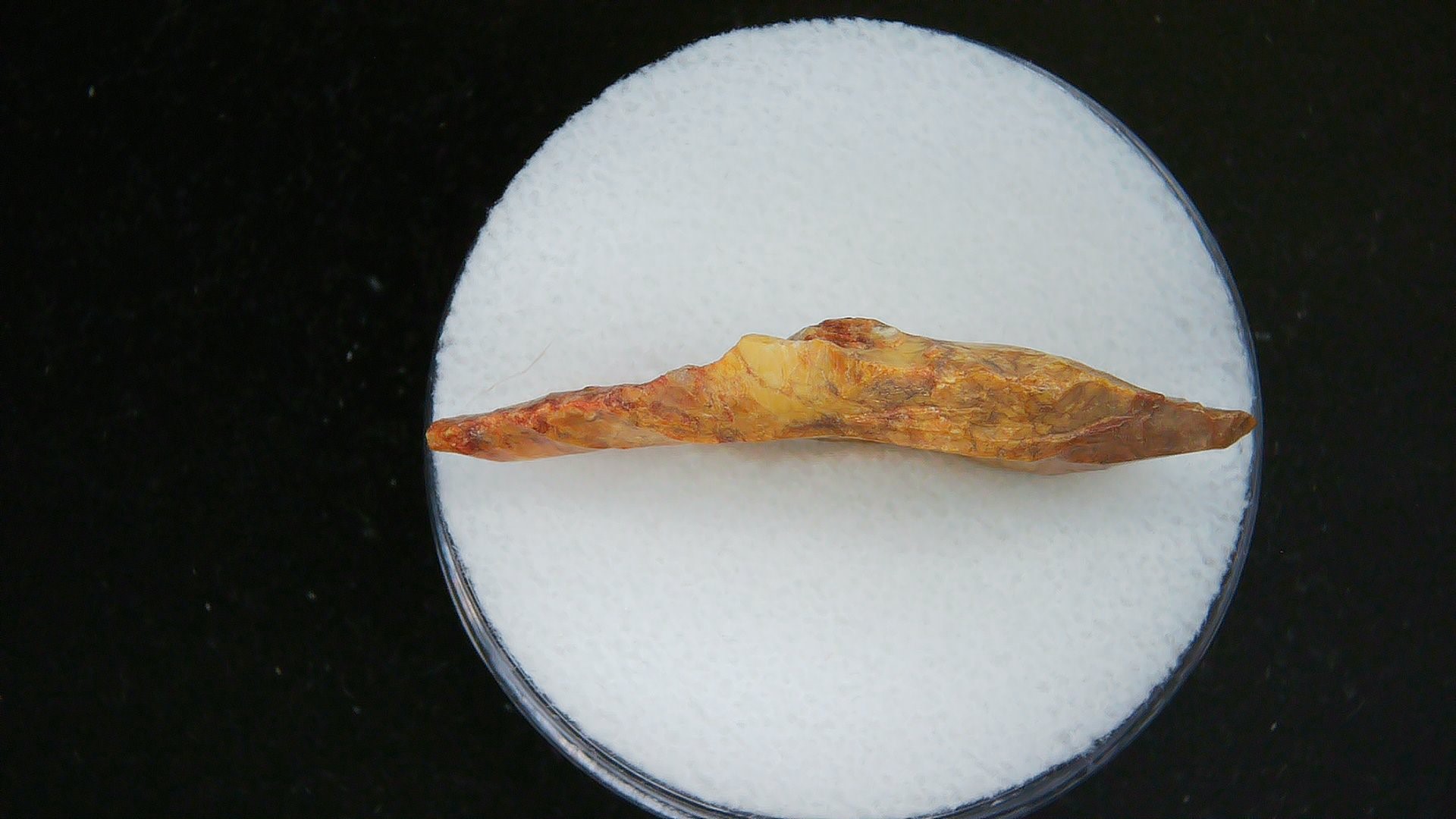 Morocco Sahara Desert Mesolithic Laurel Point 21b | Fossils for Sale Genuine Morocco Sahara Desert Mesolithic Laurel Point For Sale #21b