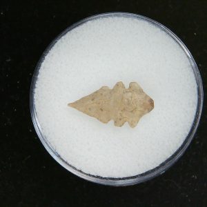 Mesolithic Serrated Bird Point #35