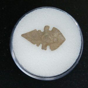 Mesolithic Serrated Bird Point #37