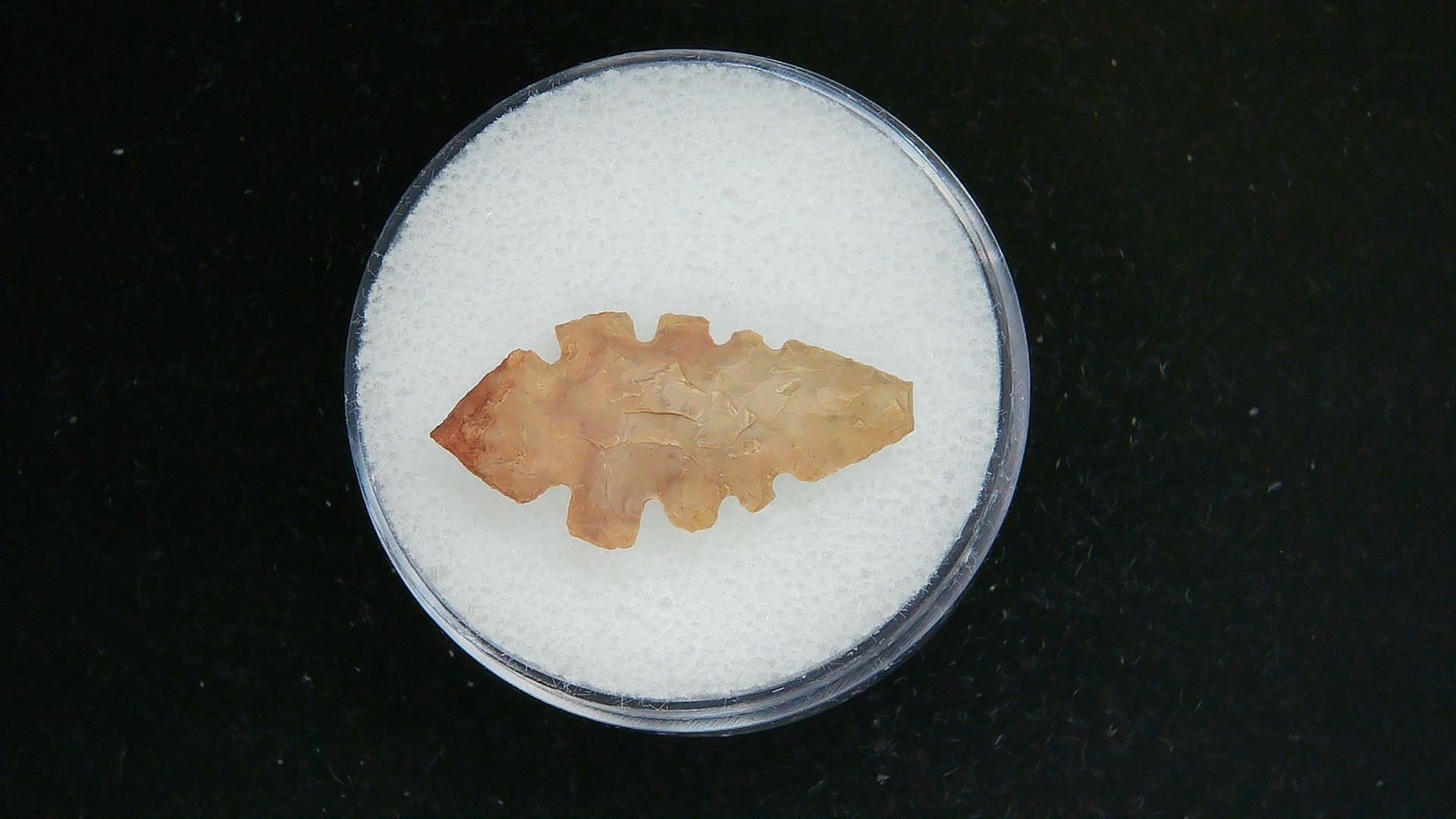 Morocco Sahara Desert Mesolithic Serrated Point 38a | Fossils for Sale Genuine Morocco Sahara Desert Mesolithic Serrated Base Point For Sale #38a