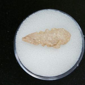 Mesolithic Serrated Bird Point #39