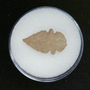 Mesolithic Serrated Bird Point #40