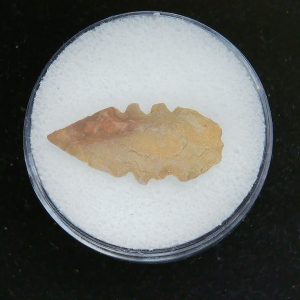 Mesolithic Serrated Bird Point #42