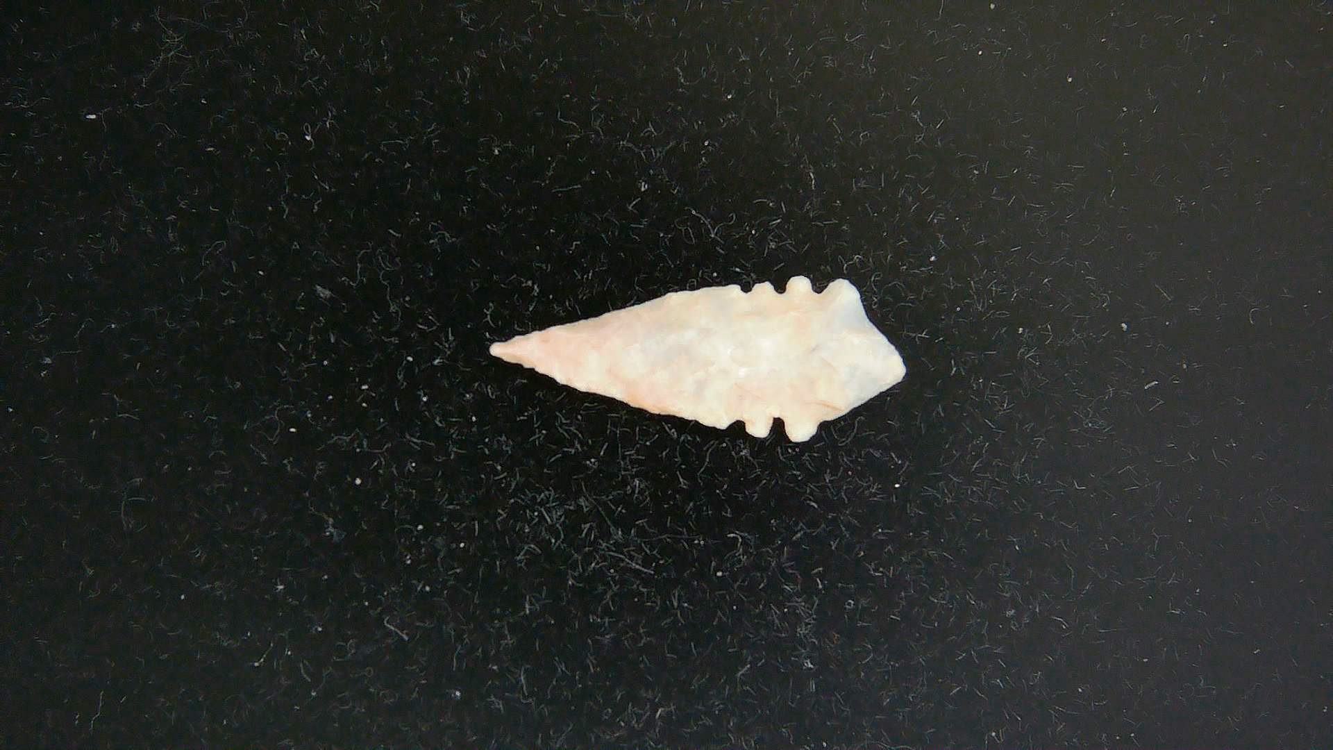 Morocco Sahara Desert Mesolithic Serrated Point 43 | Fossils for Sale Genuine Morocco Sahara Desert Mesolithic Serrated Base Point For Sale #43