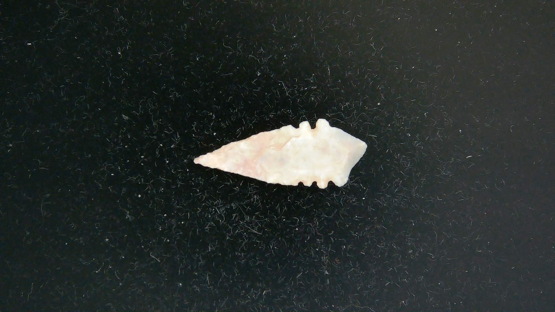 Morocco Sahara Desert Mesolithic Serrated Point 43a | Fossils for Sale Genuine Morocco Sahara Desert Mesolithic Serrated Base Point For Sale #43a