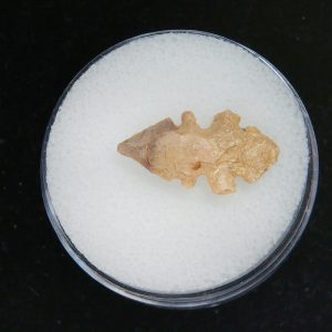 Mesolithic Serrated Bird Point #44