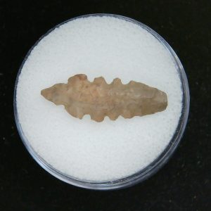 Mesolithic Serrated Bird Point #45