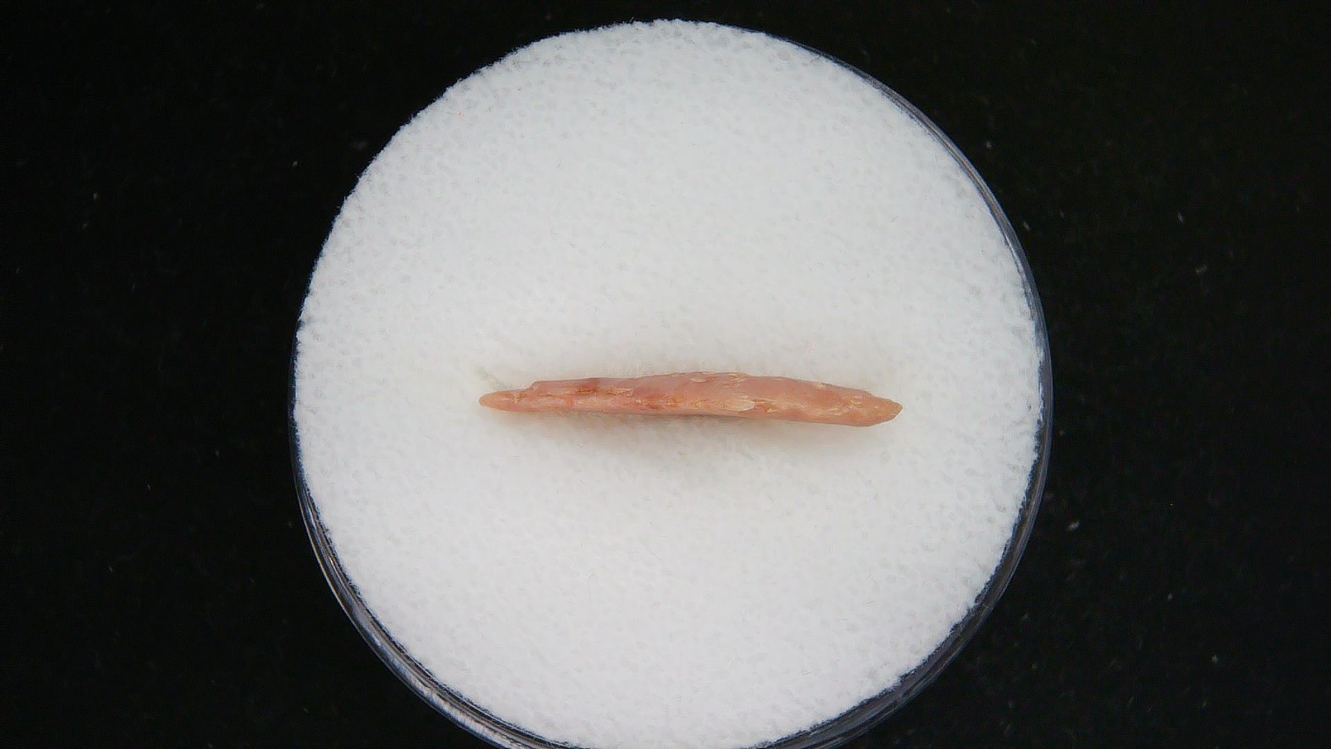 Morocco Sahara Desert Mesolithic Straight Stemmed Point 52b | Fossils for Sale Genuine Mesolithic Straight Stemmed Point for Sale from Morocco #52b