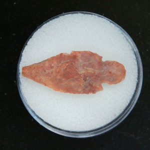 Mesolithic Straight Stemmed Point #53