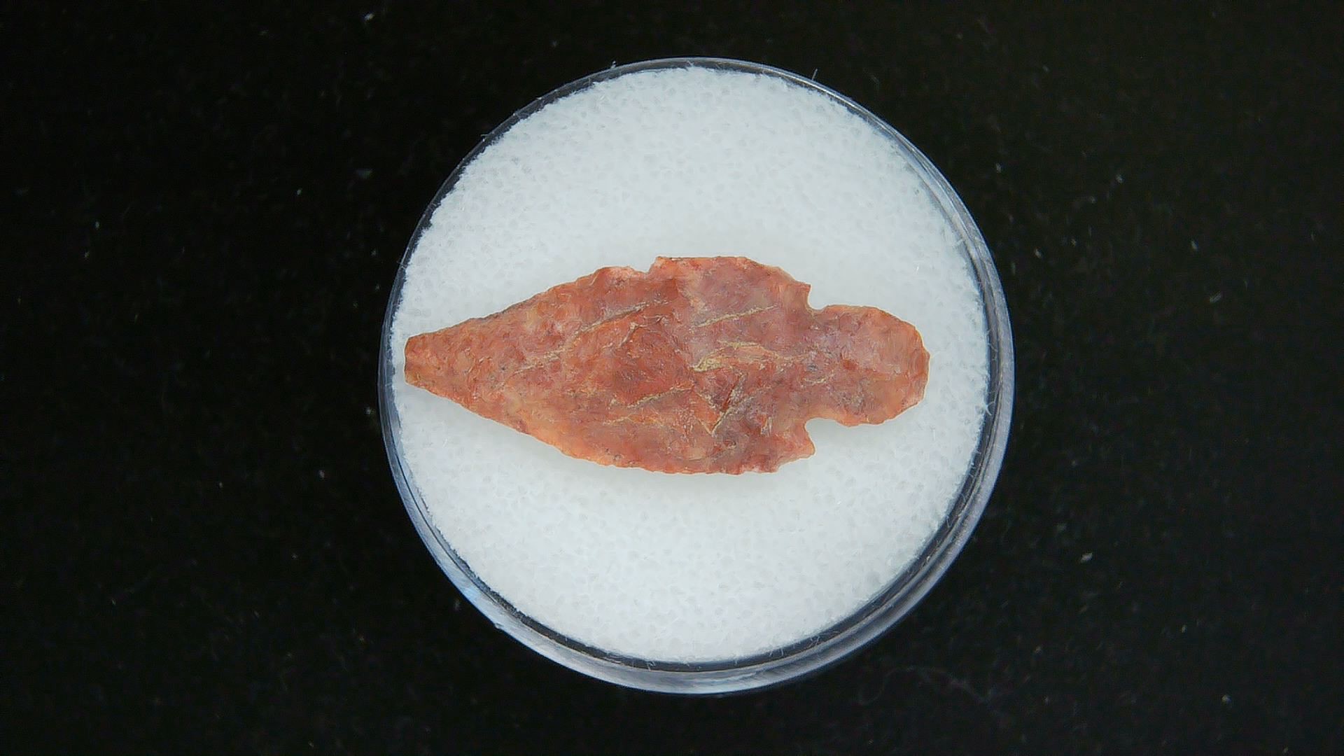 Morocco Sahara Desert Mesolithic Straight Stemmed Point 53 | Fossils for Sale Genuine Mesolithic Straight Stemmed Point for Sale from Morocco #53