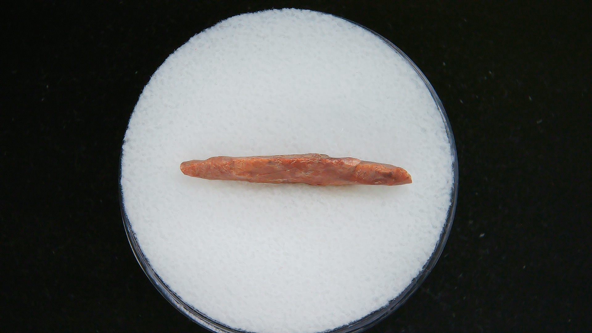 Morocco Sahara Desert Mesolithic Straight Stemmed Point 53b | Fossils for Sale Genuine Mesolithic Straight Stemmed Point for Sale from Morocco #53b