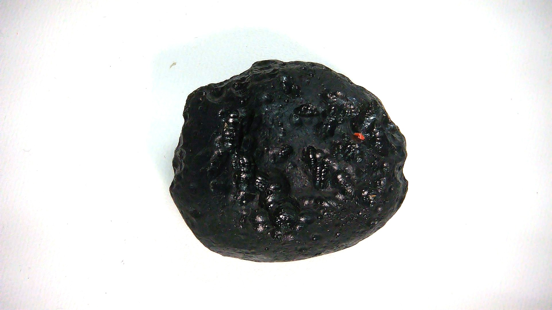 East Asia Black Tibetan Tektite - Black Moldavite 75 | Fossils for Sale Genuine Black Tibetan Tektite For Sale from East Asia #75