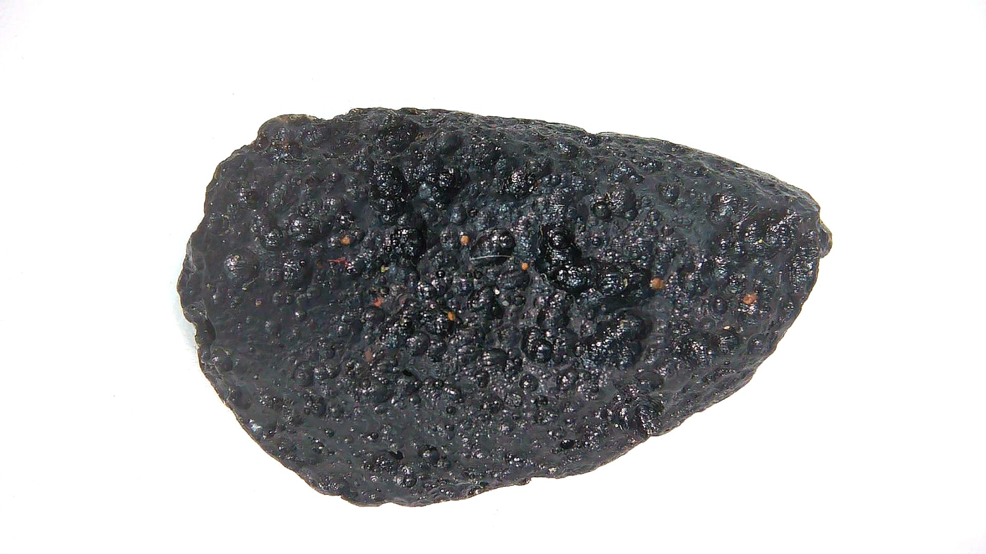 East Asia Black Tibetan Tektite - Black Moldavite 90 | Fossils for Sale Genuine Black Tibetan Tektite For Sale from East Asia #90