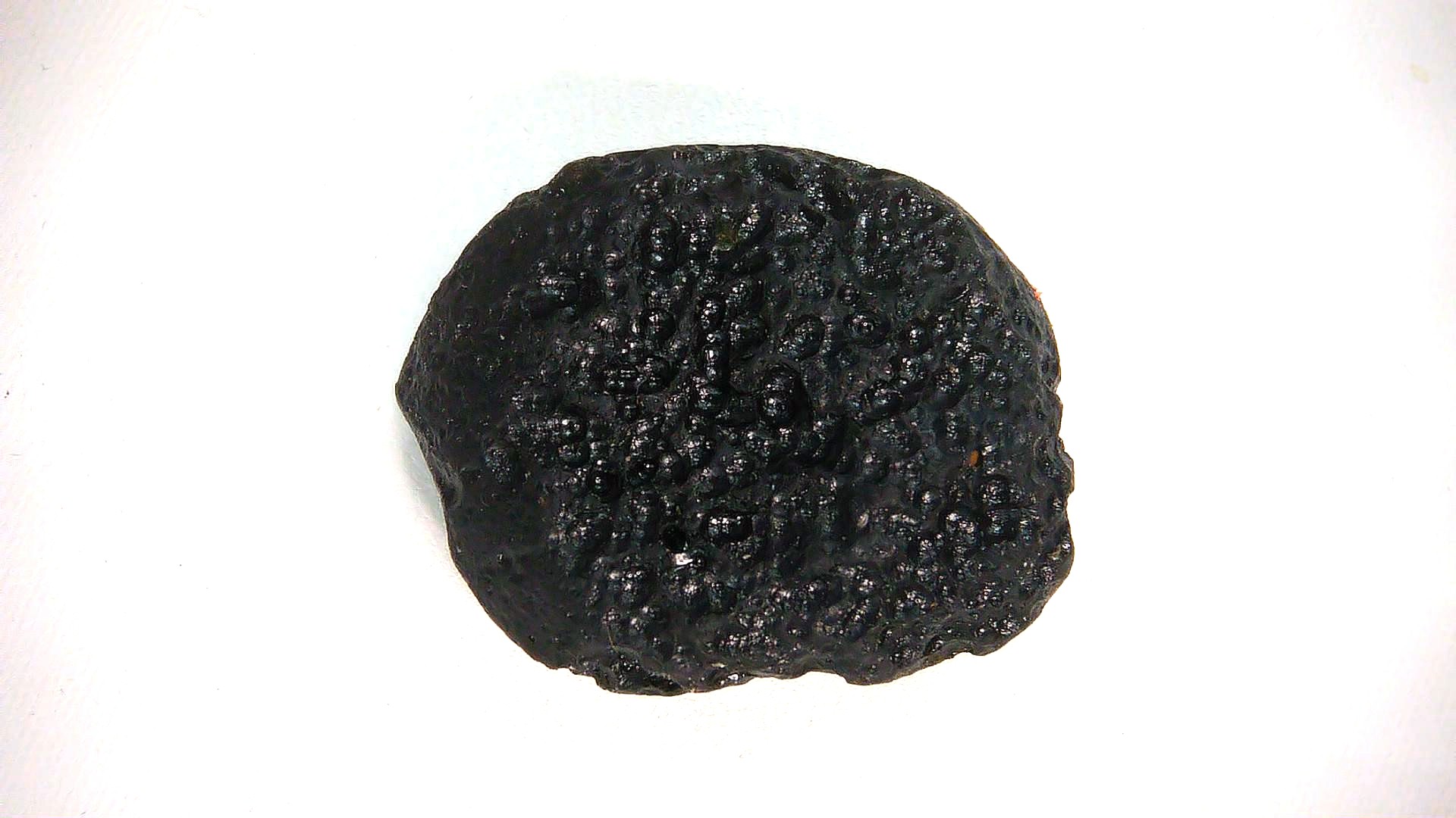 East Asia Black Tibetan Tektite - Black Moldavite 91 | Fossils for Sale Genuine Black Tibetan Tektite For Sale from East Asia #91