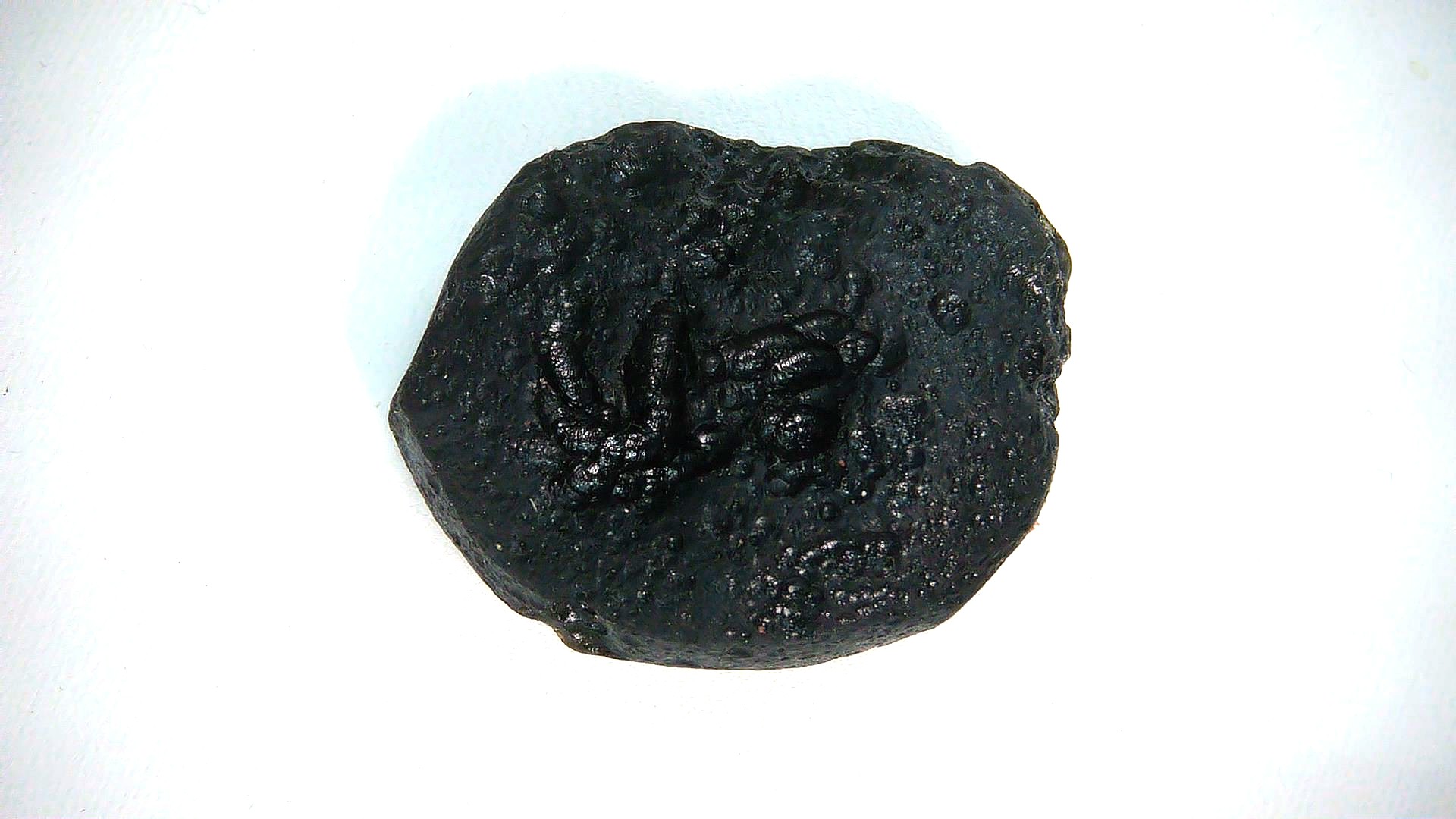 East Asia Black Tibetan Tektite - Black Moldavite 91a | Fossils for Sale Genuine Black Tibetan Tektite For Sale from East Asia #91a