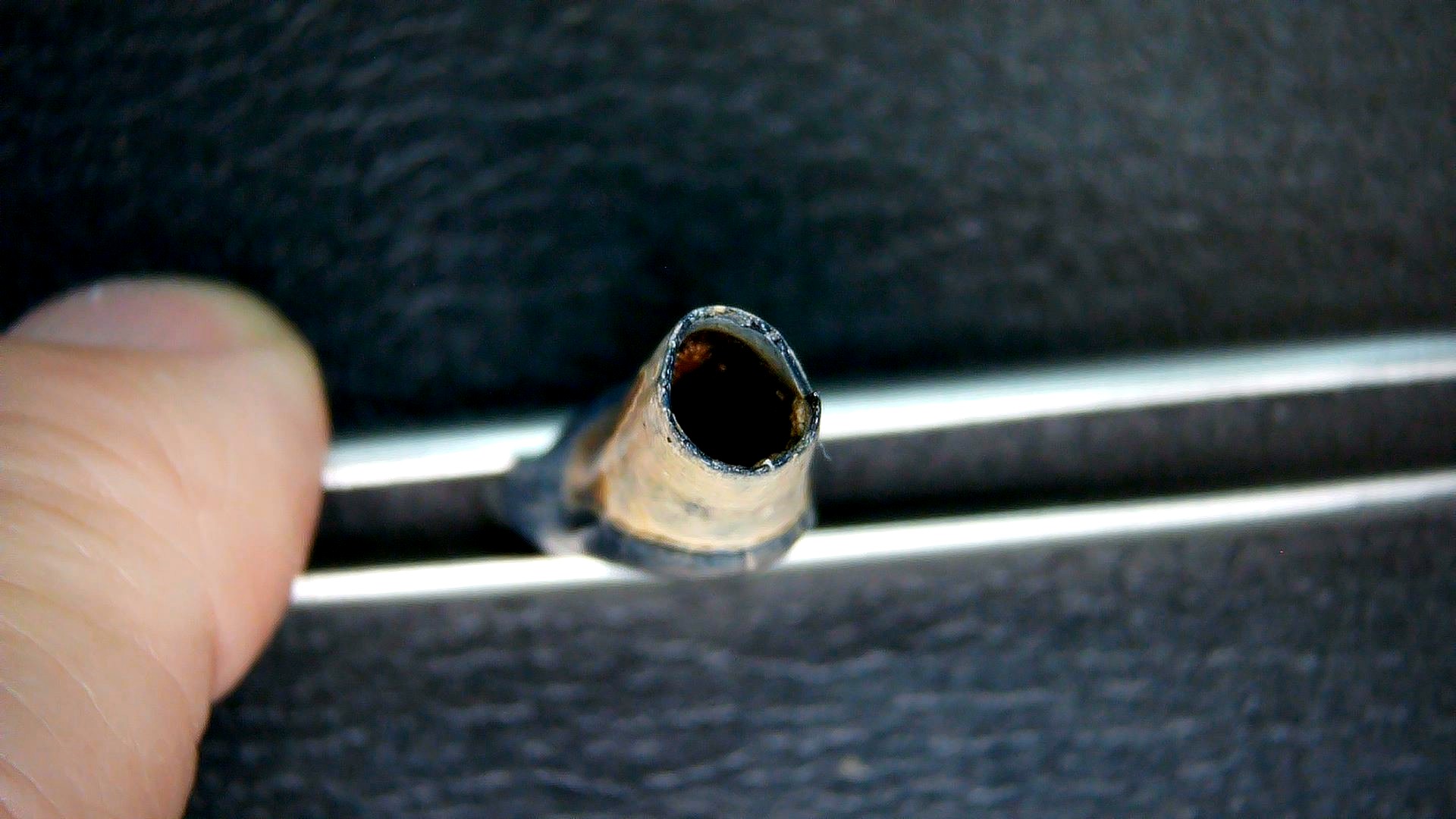 Florida Pleistocene Ice Age Palaeolama Tooth 6c | Fossils for Sale Genuine Pleistocene Age Palaeolama Tooth Fossil for Sale from Florida #6c