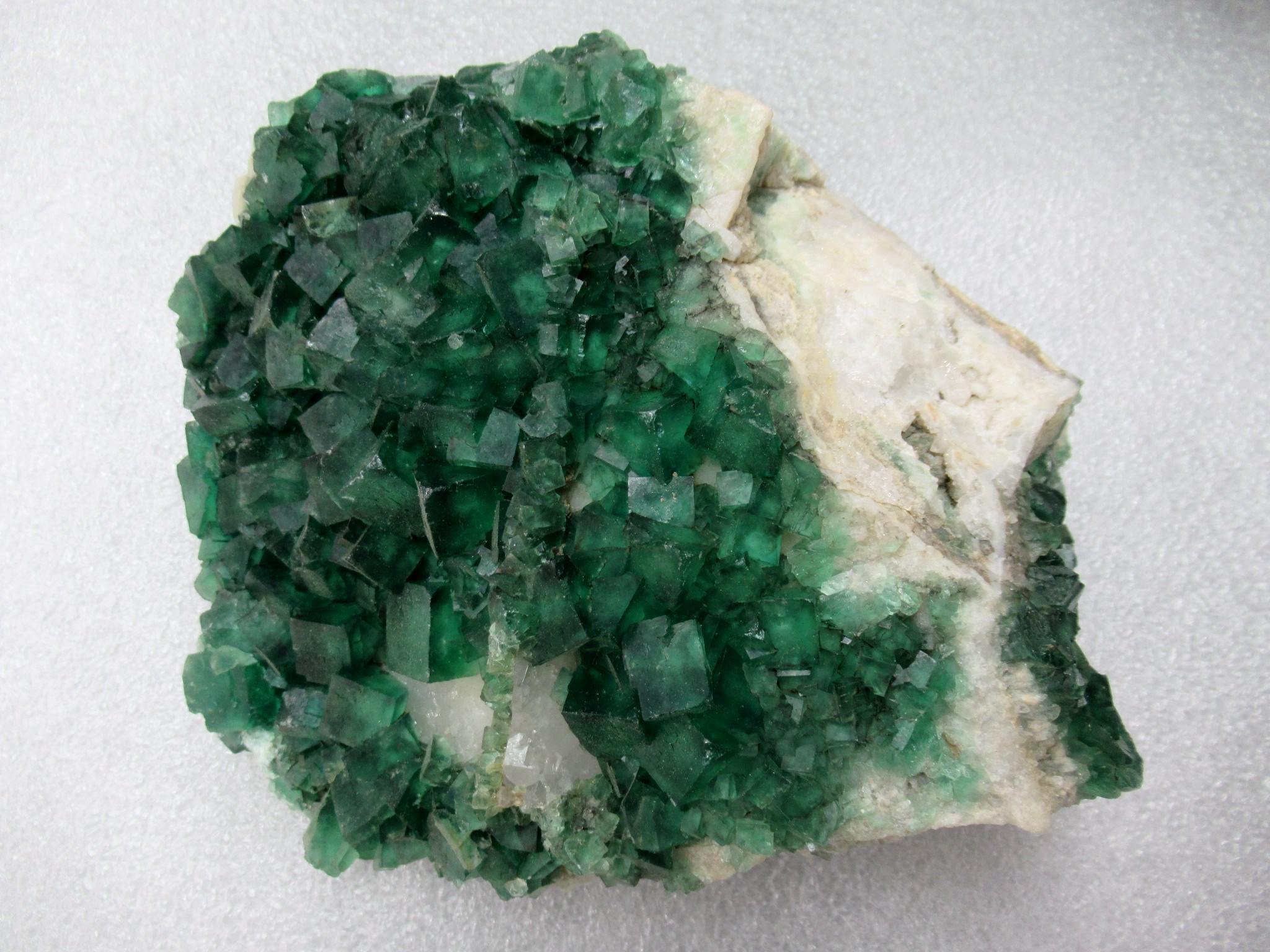 Madagascar Fluorescent Fluorite Cube Specimen 2 | Fossils for Sale Genuine Fluorescent Fluorite Cube Specimen Mineral For Sale from Madagascar #2