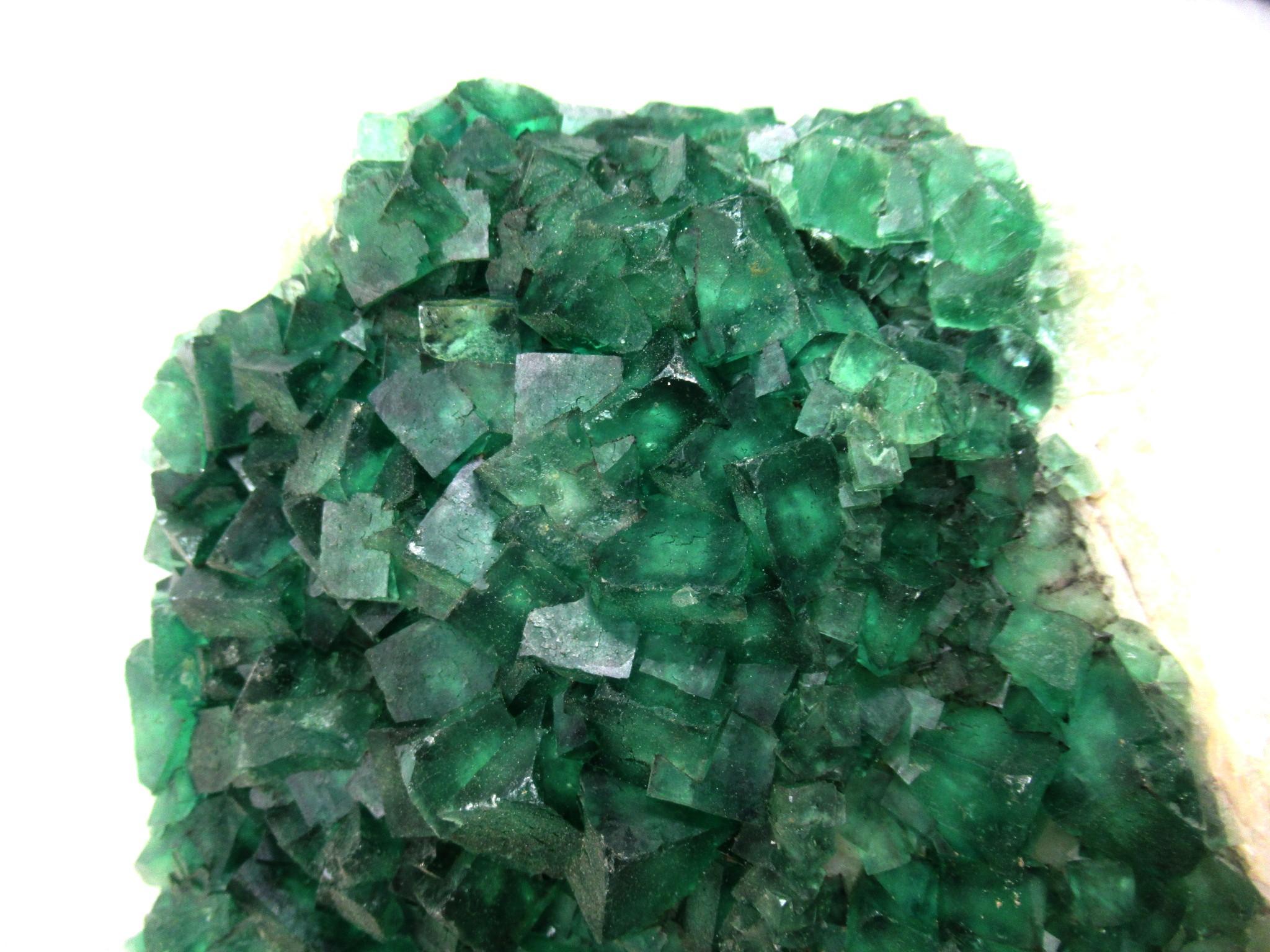 Madagascar Fluorescent Fluorite Cube Specimen 2a | Fossils for Sale Genuine Fluorescent Fluorite Cube Specimen Mineral For Sale from Madagascar #2a