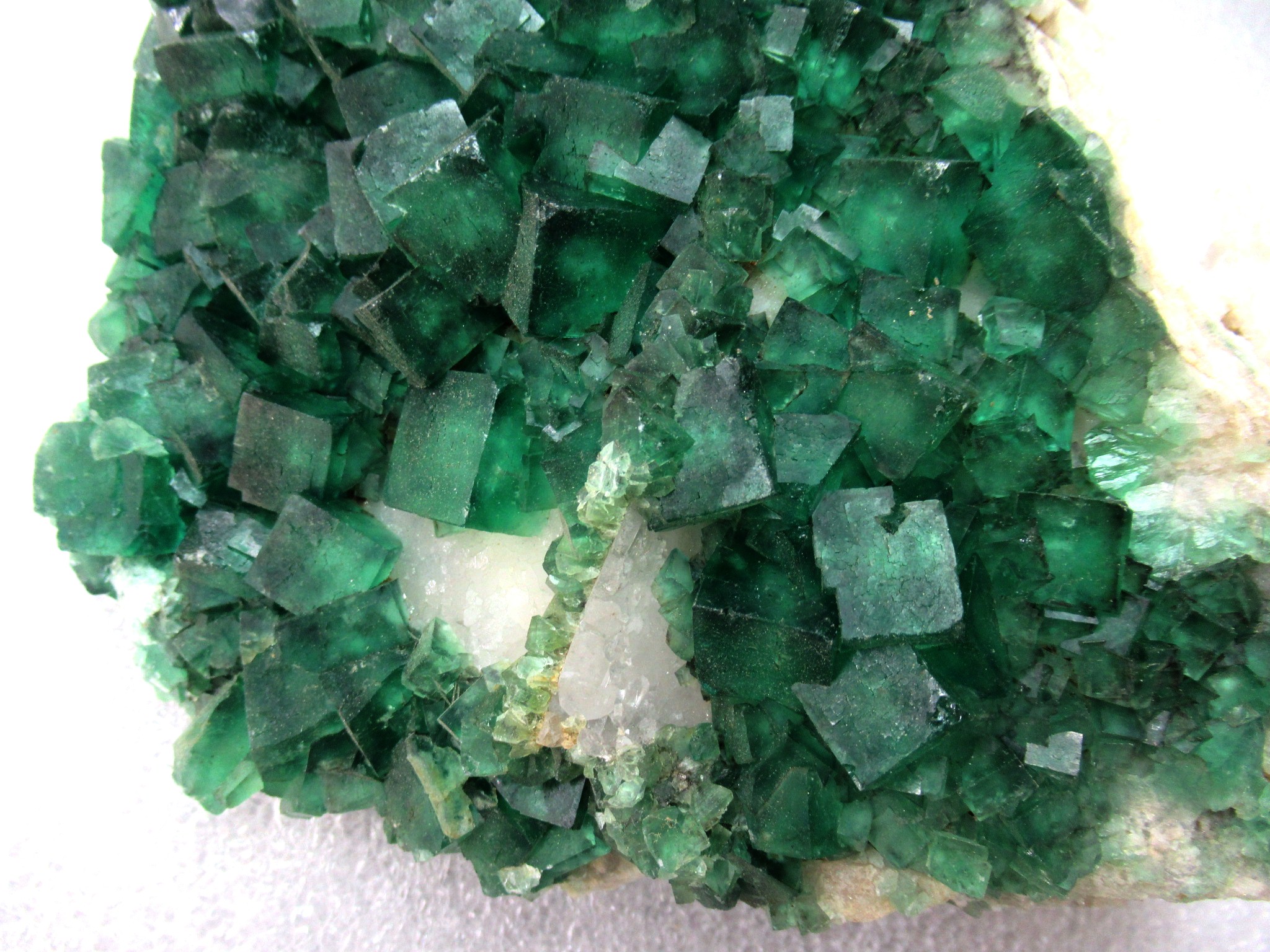 Madagascar Fluorescent Fluorite Cube Specimen 2b | Fossils for Sale Genuine Fluorescent Fluorite Cube Specimen Mineral For Sale from Madagascar #2b