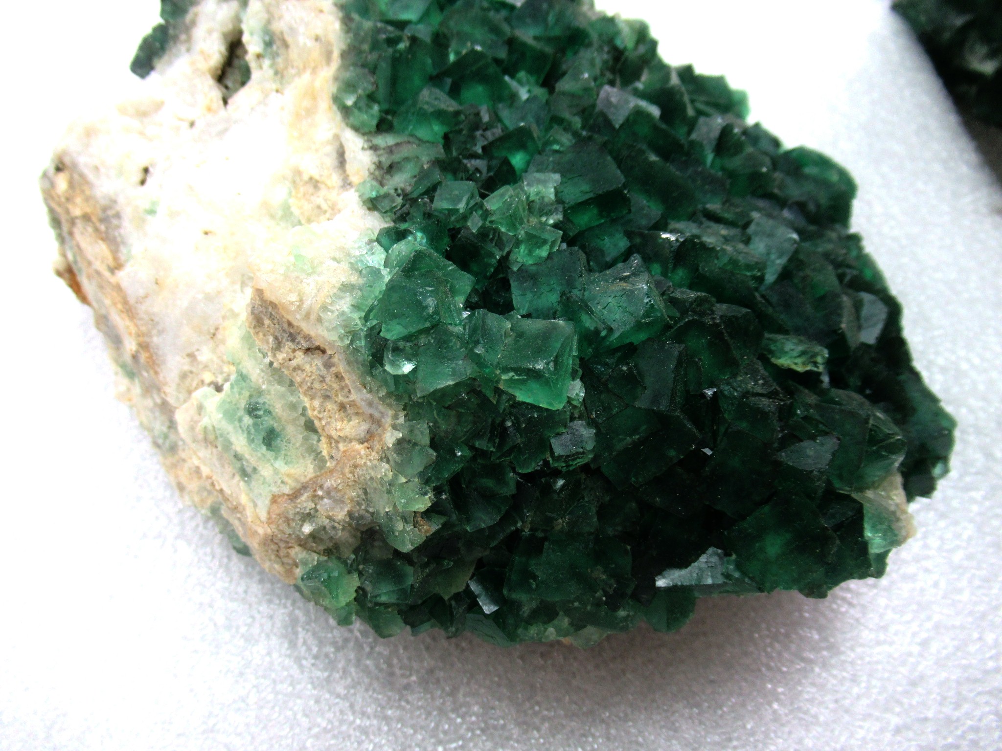 Madagascar Fluorescent Fluorite Cube Specimen 2d | Fossils for Sale Genuine Fluorescent Fluorite Cube Specimen Mineral For Sale from Madagascar #2d