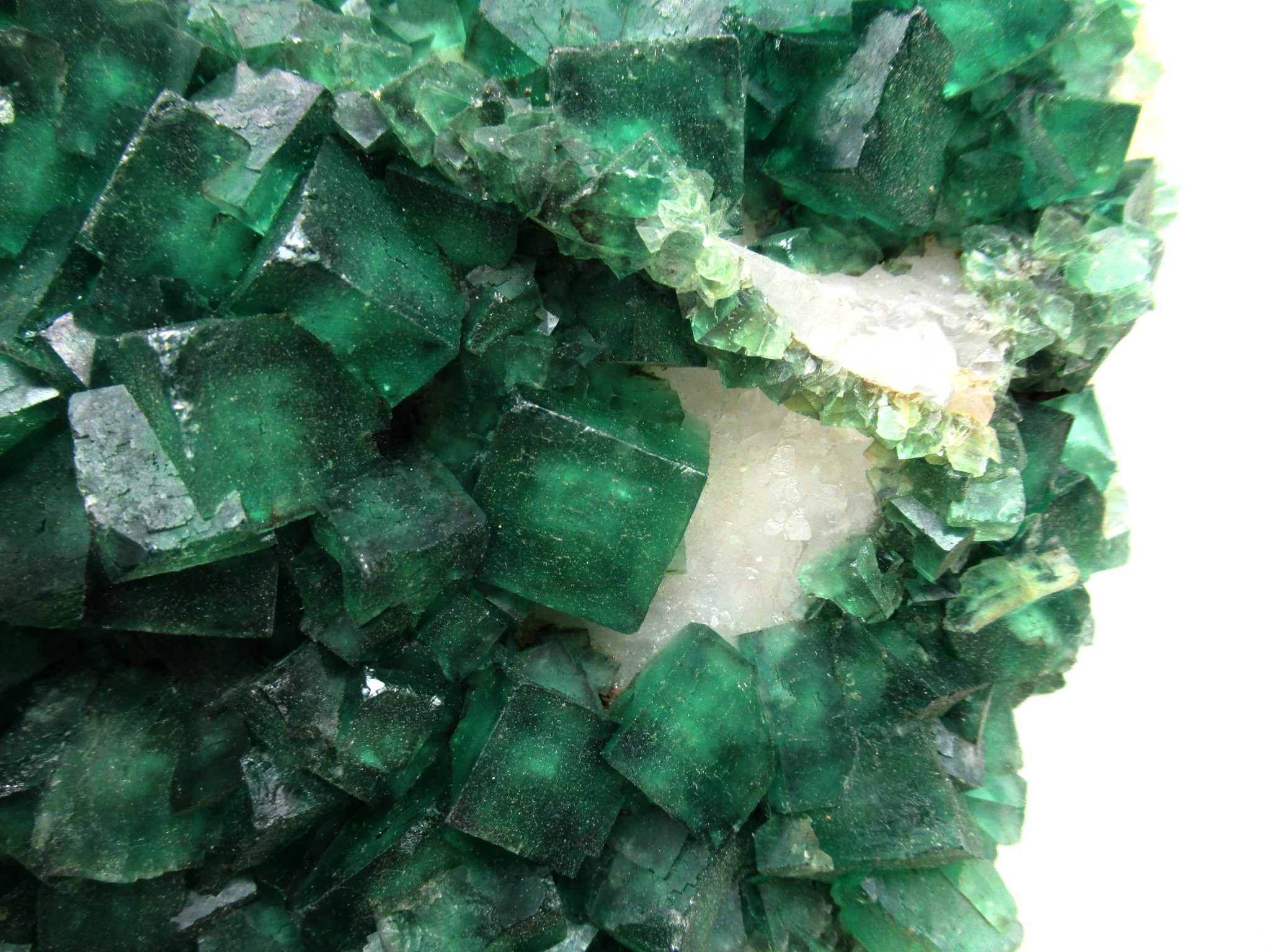 Madagascar Fluorescent Fluorite Cube Specimen 2i | Fossils for Sale Genuine Fluorescent Fluorite Cube Specimen Mineral For Sale from Madagascar #2i