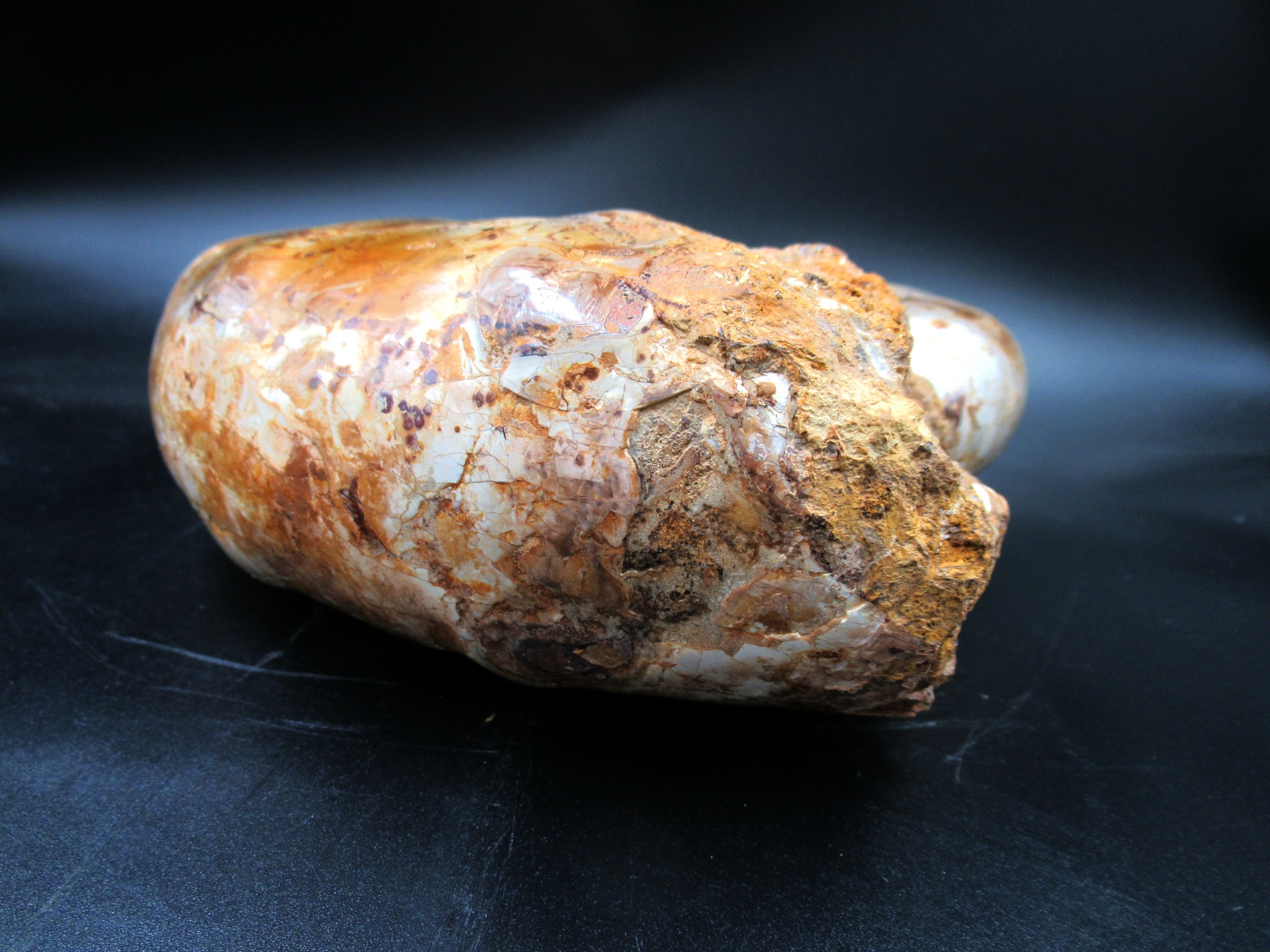 Madagascar Jurassic Perisphinctes Ammonite 32g | Fossils for Sale Genuine Jurassic Age Perisphinctes Ammonite For Sale from Madagascar #32g