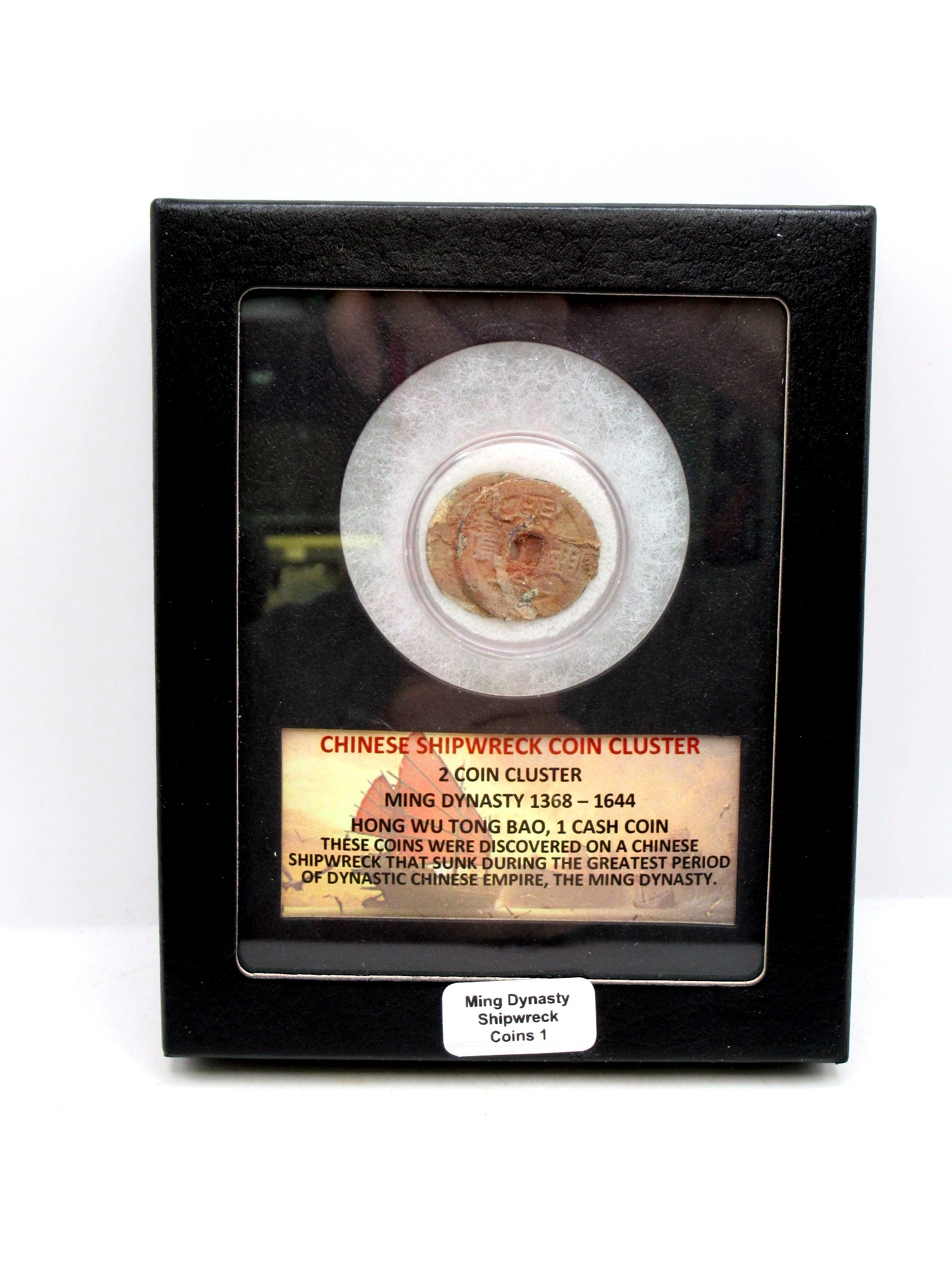 Ming Dynasty Chinese Shipwreck Cluster 1 | Fossils for Sale Genuine Ming Dynasty Chinese Shipwreck Coin for Sale #1