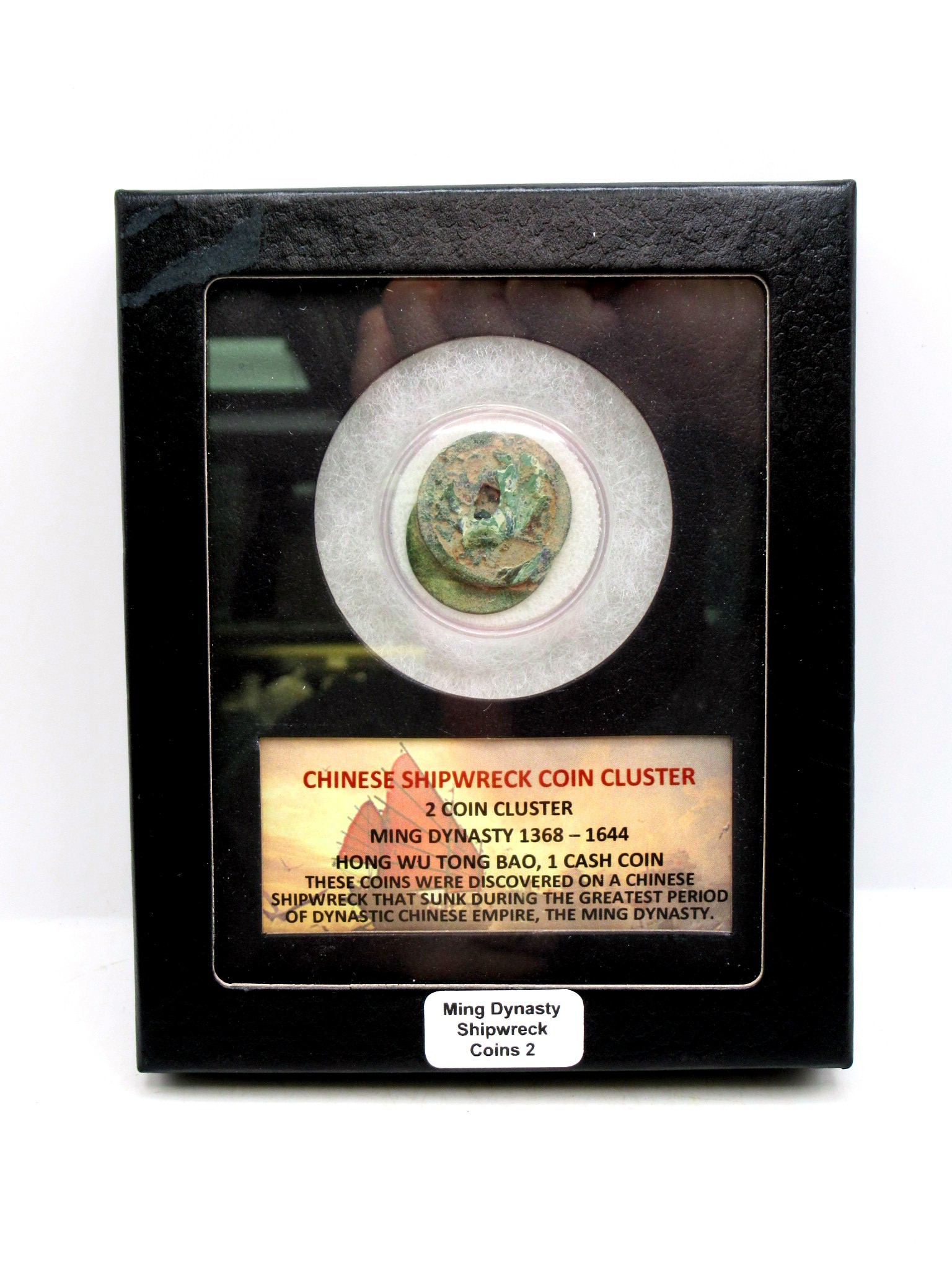 Ming Dynasty Chinese Shipwreck Cluster 2 | Fossils for Sale Genuine Ming Dynasty Chinese Shipwreck Coin for Sale #2