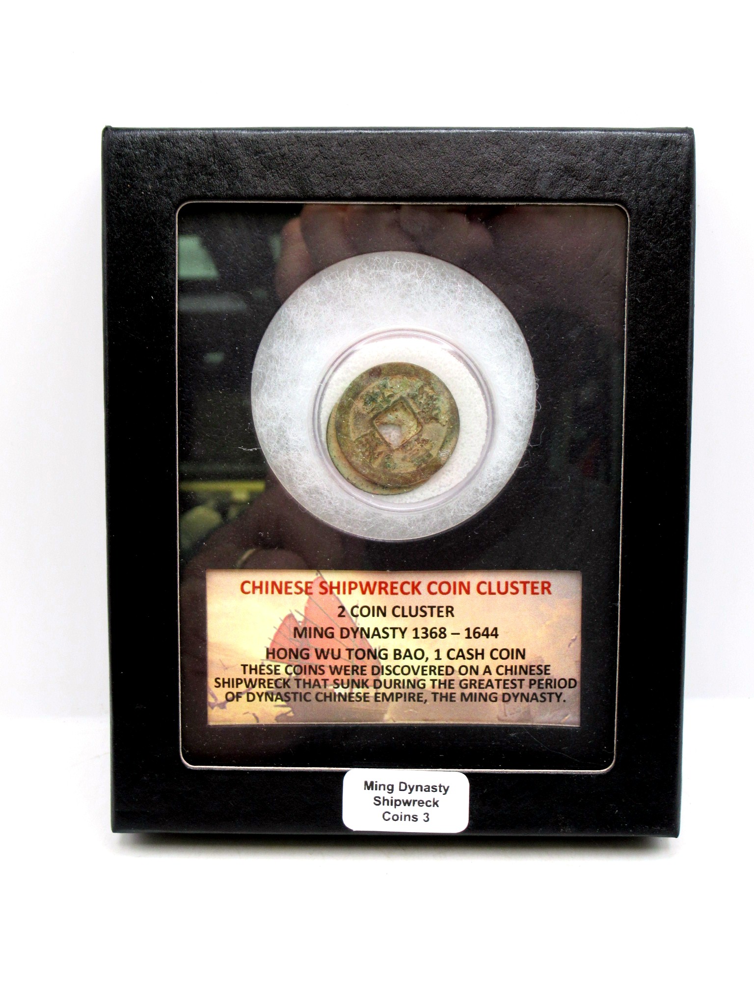 Ming Dynasty Chinese Shipwreck Cluster 3 | Fossils for Sale Genuine Ming Dynasty Chinese Shipwreck Coin for Sale #3