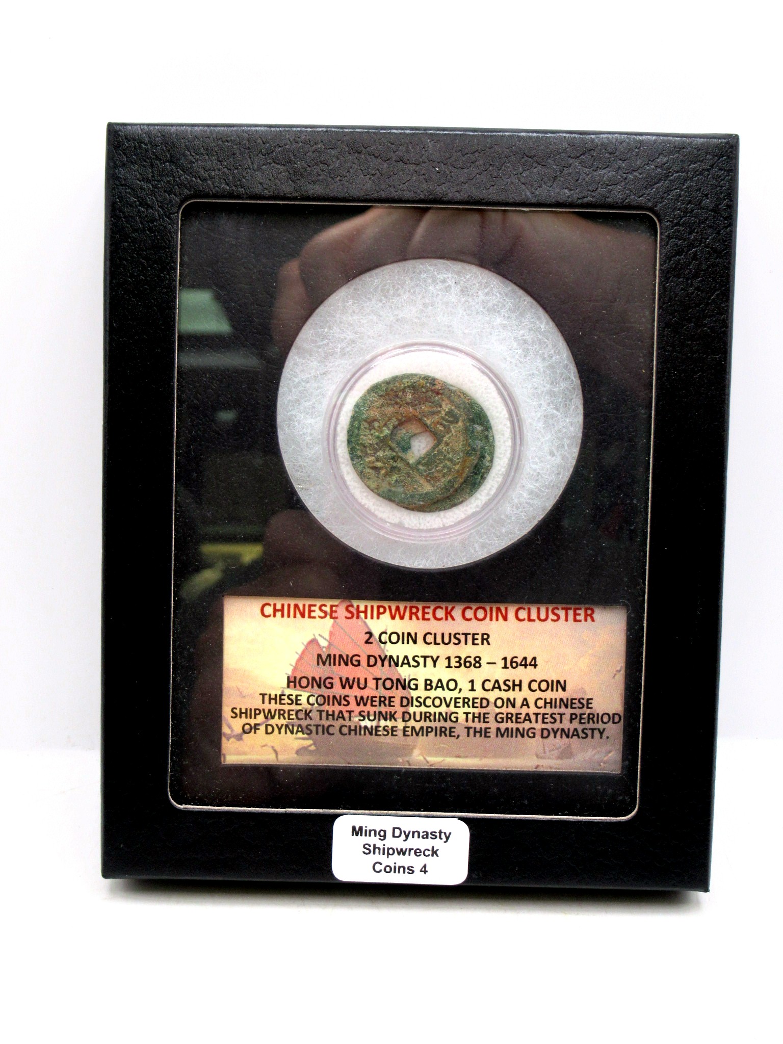 Ming Dynasty Chinese Shipwreck Cluster 4 | Fossils for Sale Genuine Ming Dynasty Chinese Shipwreck Coin for Sale #4