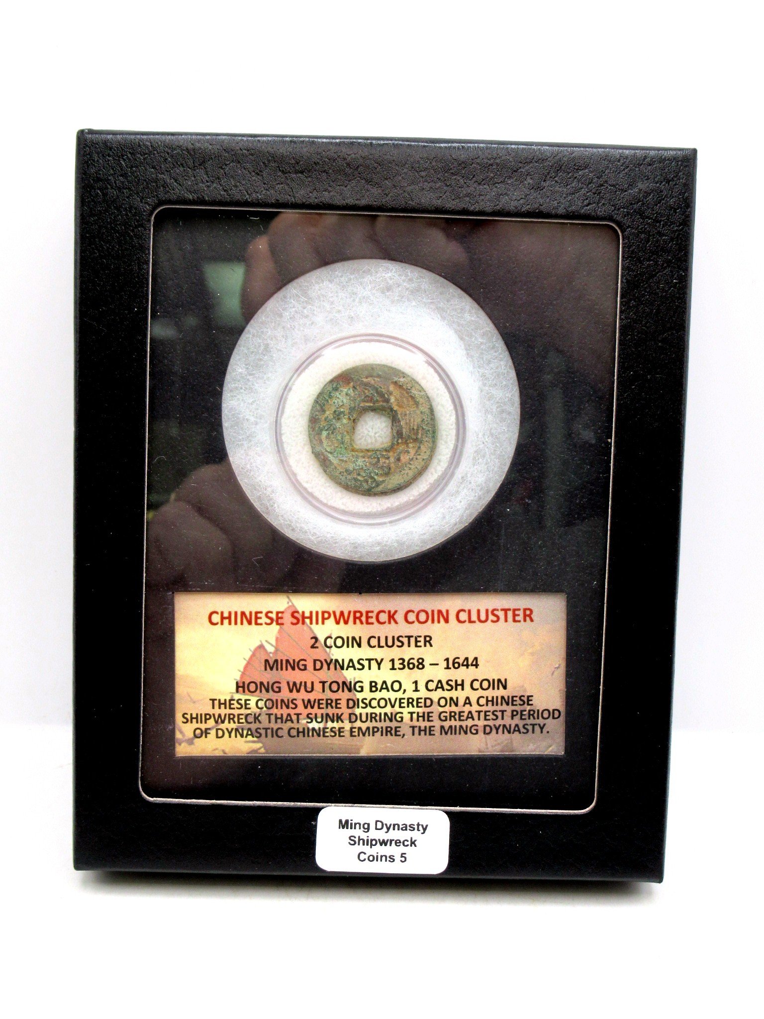 Ming Dynasty Chinese Shipwreck Cluster 5 | Fossils for Sale Genuine Ming Dynasty Chinese Shipwreck Coin for Sale #5