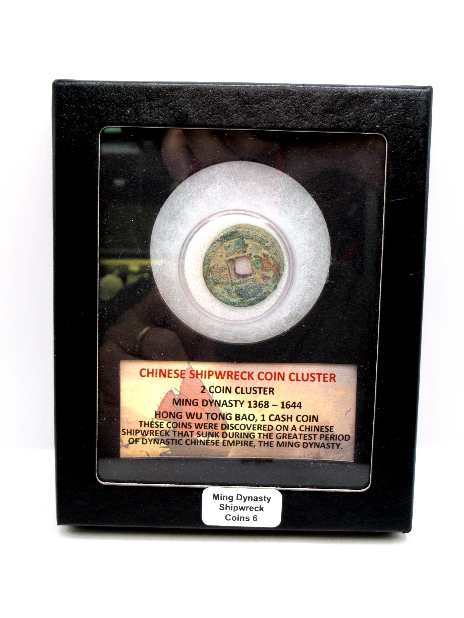 Ming Dynasty Chinese Shipwreck Cluster 6 | Fossils for Sale Genuine Ming Dynasty Chinese Shipwreck Coin for Sale #6