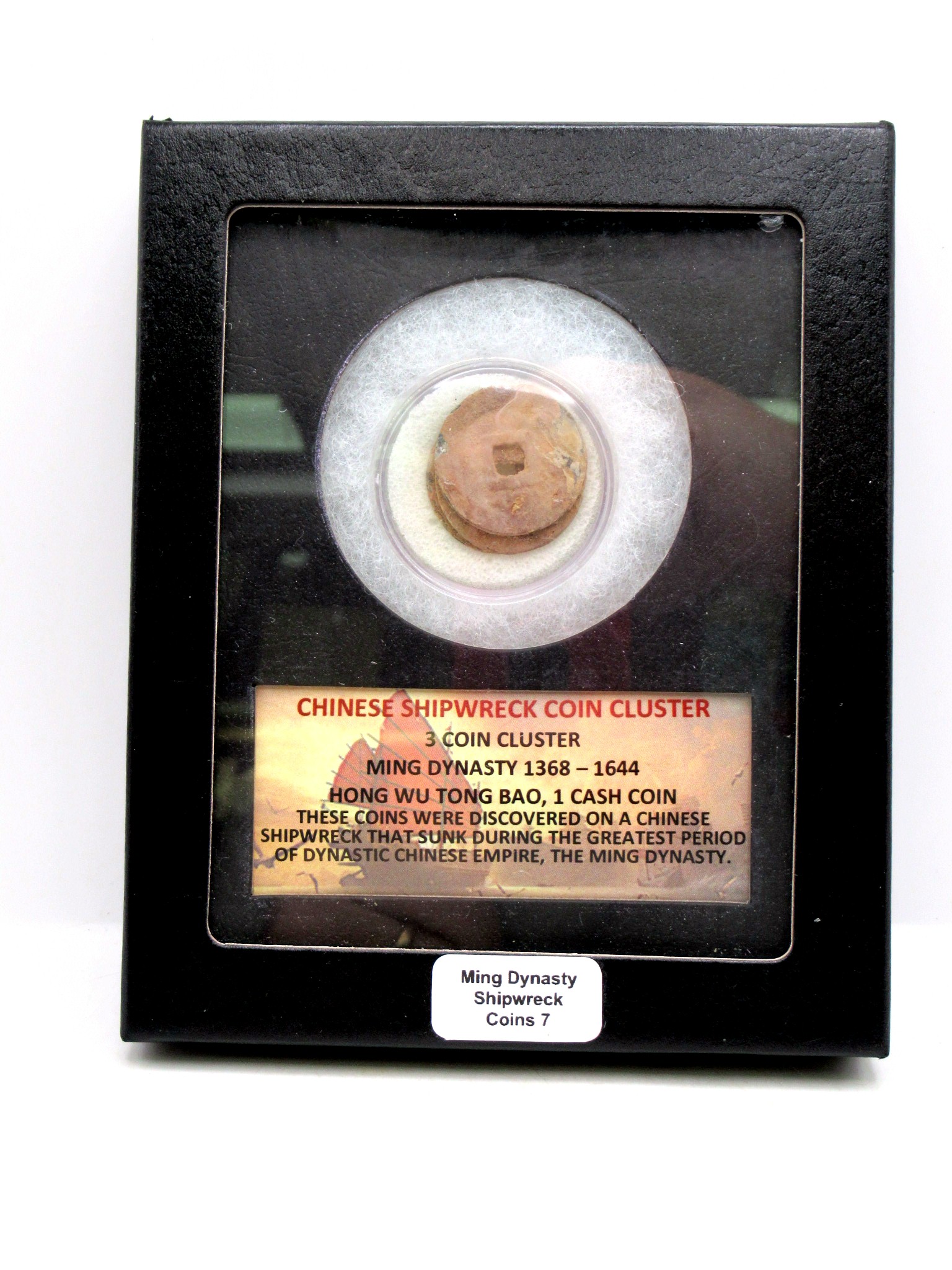 Ming Dynasty Chinese Shipwreck Cluster 7 | Fossils for Sale Genuine Ming Dynasty Chinese Shipwreck Coin for Sale #7