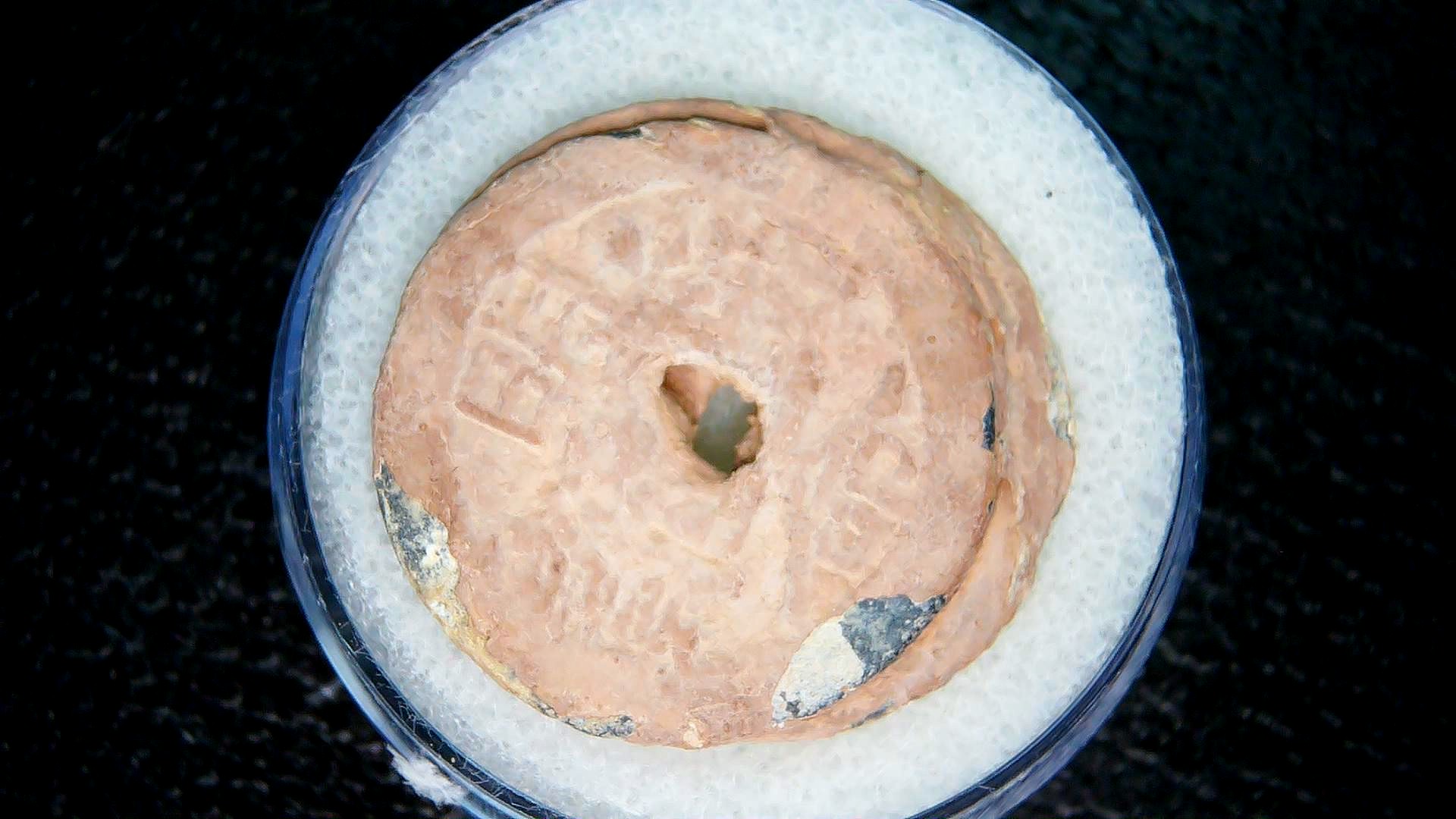 Ming Dynasty Chinese Shipwreck Cluster 7b | Fossils for Sale Genuine Ming Dynasty Chinese Shipwreck Coin for Sale #7b