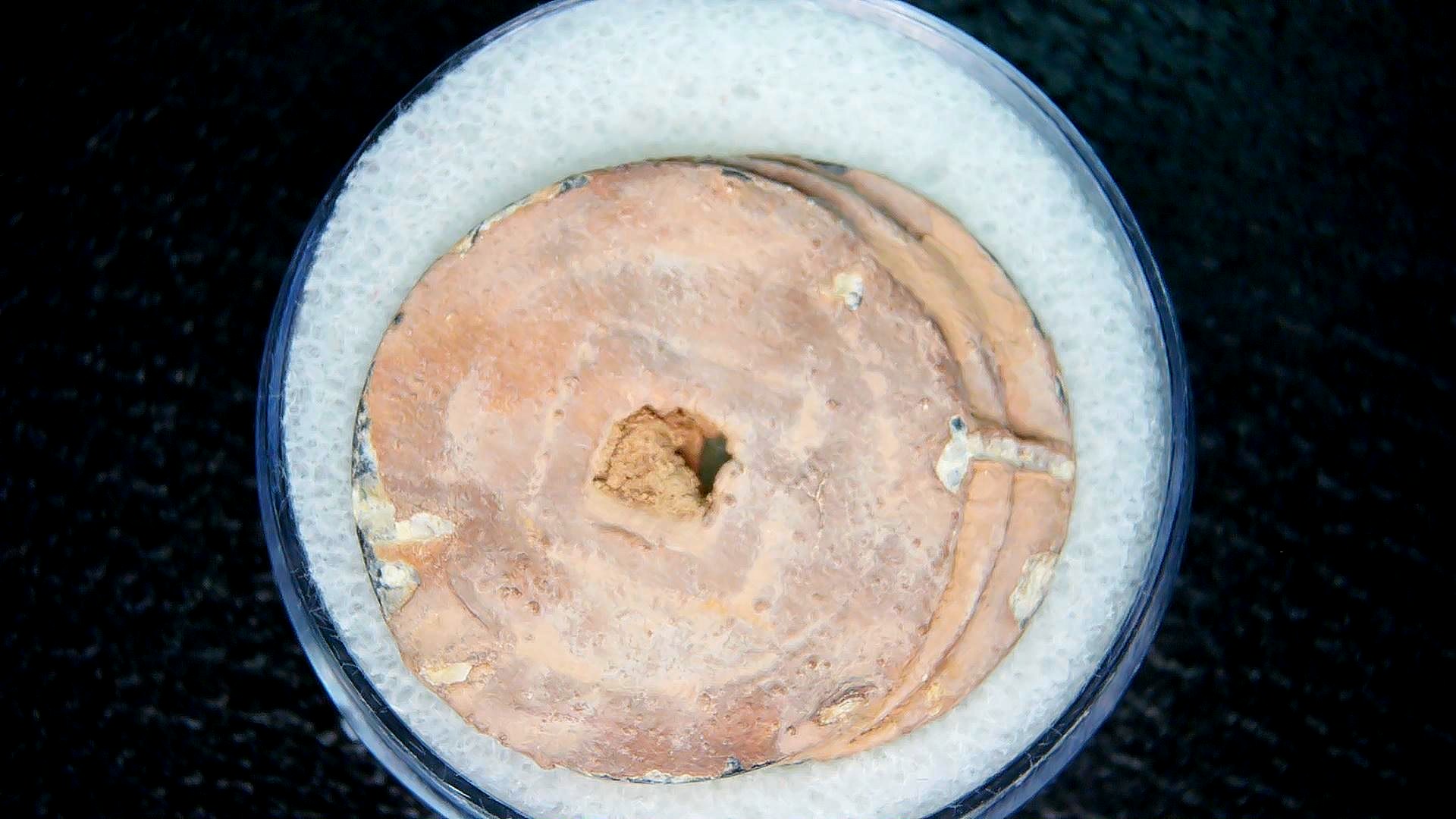 Ming Dynasty Chinese Shipwreck Cluster 8a | Fossils for Sale Genuine Ming Dynasty Chinese Shipwreck Coin for Sale #8a