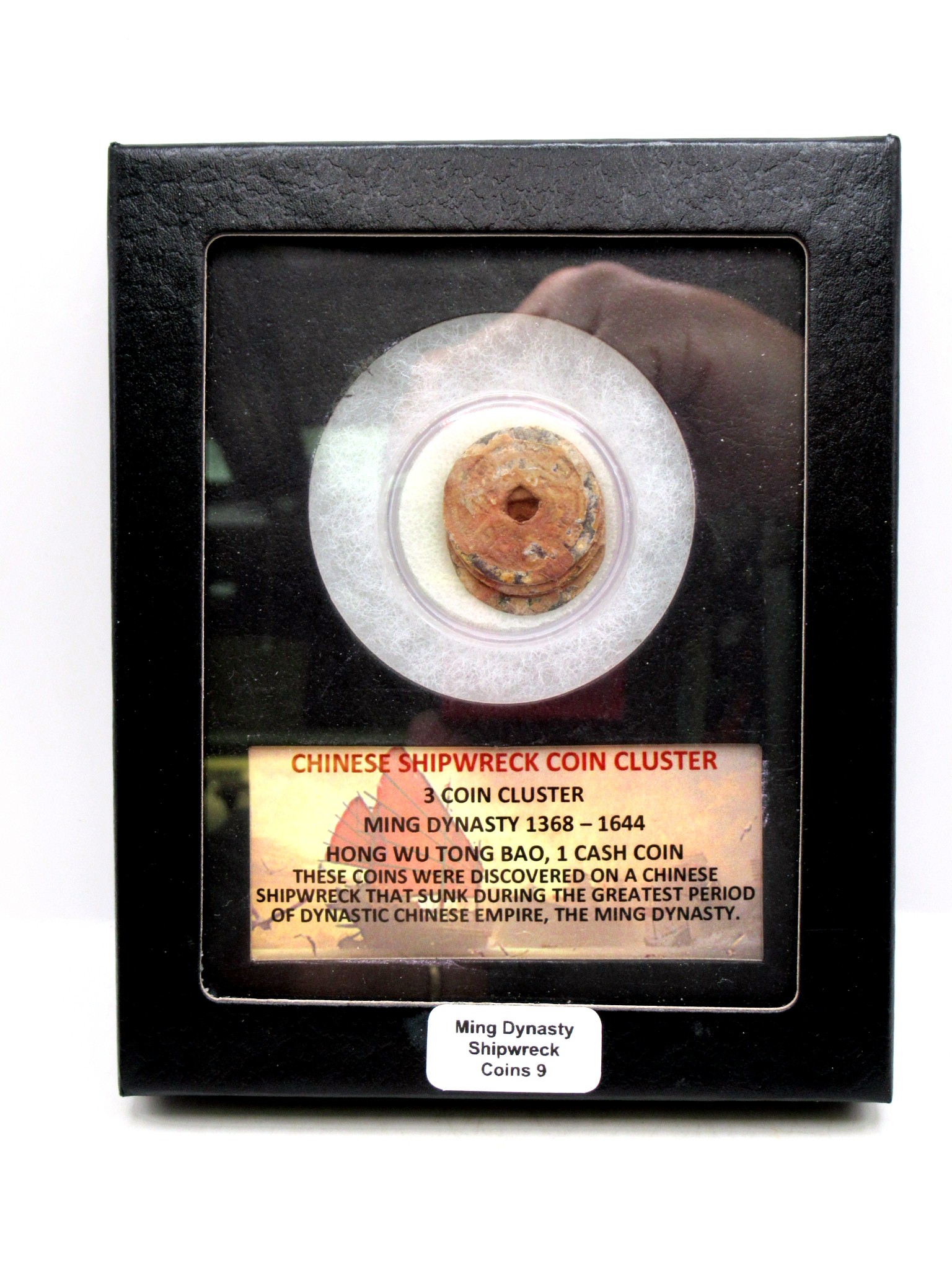 Ming Dynasty Chinese Shipwreck Cluster 9 | Fossils for Sale Genuine Ming Dynasty Chinese Shipwreck Coin for Sale #9