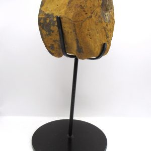 Hadrosaurus Dinosaur Bone on Stand for Sale #4
