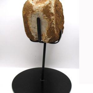 Hadrosaurus Dinosaur Bone on Stand for Sale #7
