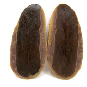 General Pennsylvanian Age Mazon Creek Nodule Fossils From Illinois For Sale #181
