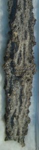 Fulgurite