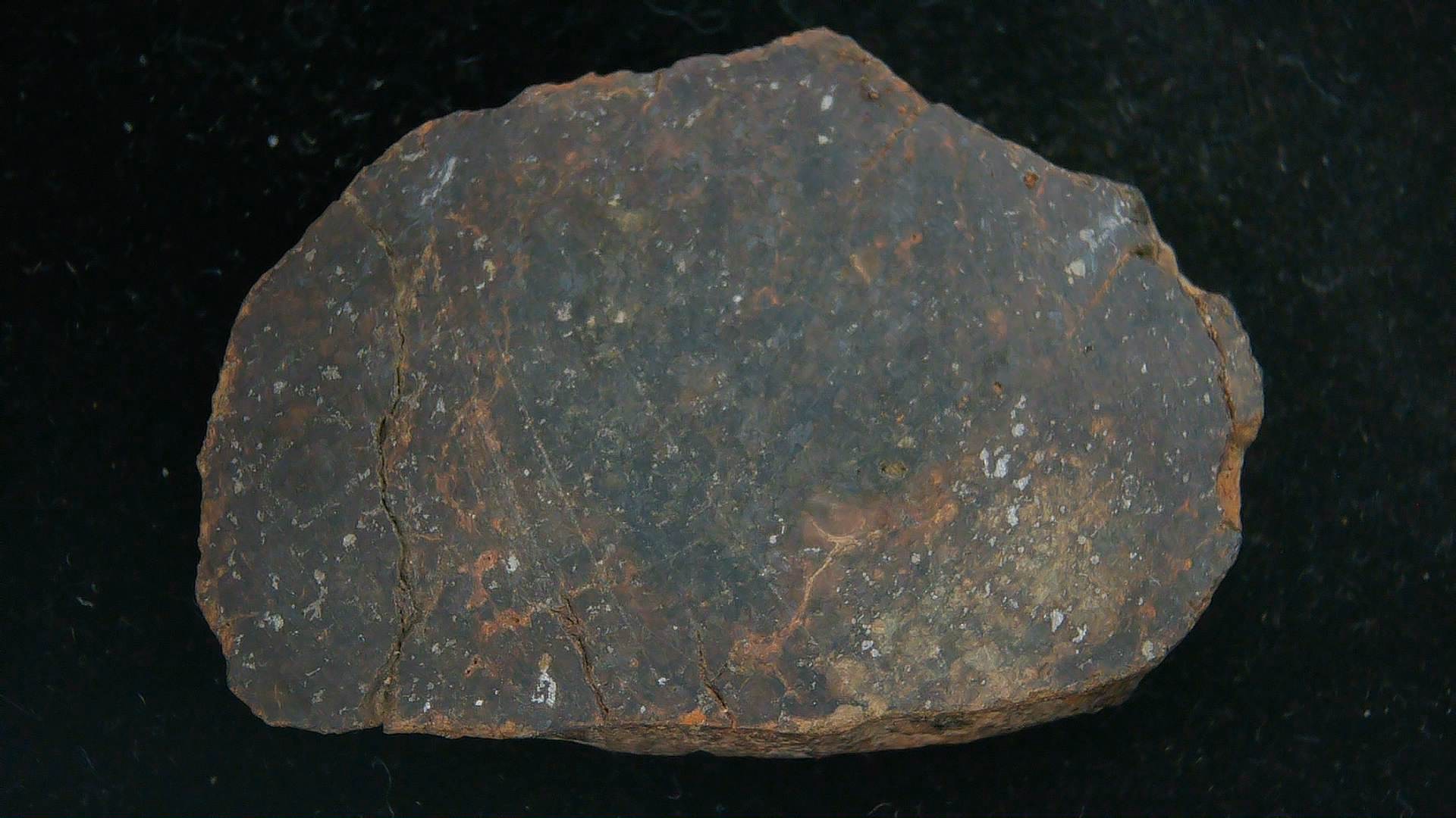 Arizona Gold Basin L4 Chondrite Meteorite 1 | Fossils for Sale