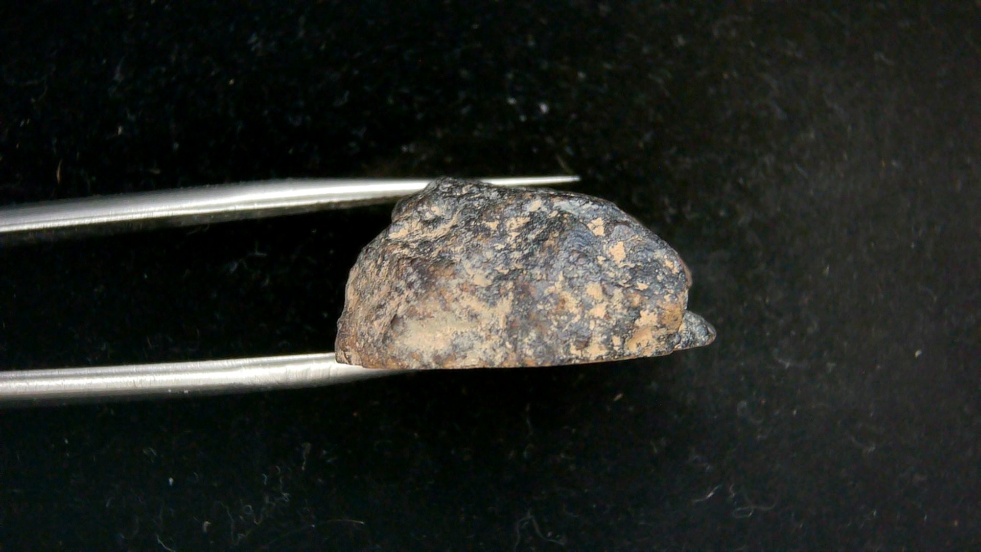 Arizona Gold Basin L4 Chondrite Meteorite 10b | Fossils for Sale